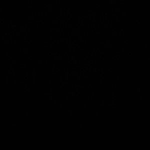 Meet your Posher, Alan